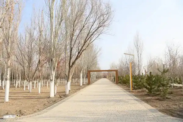 Увеличится количество мест отдыха (7)