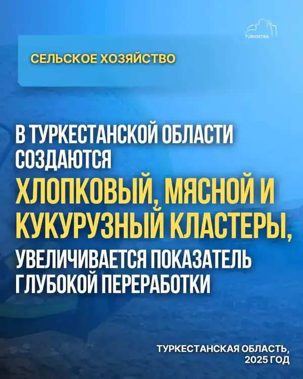 В ТУРКЕСТАНСКОЙ ОБЛАСТИ СОЗДАЮТСЯ ХЛОПКОВЫЙ, МЯСНОЙ И КУКУРУЗНЫЙ КЛАСТЕРЫ, УВЕЛИЧИВАЕТСЯ ПОКАЗАТЕЛЬ ГЛУБОКОЙ ПЕРЕРАБОТКИ (7)
