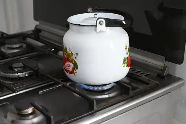 Итоги года в Жетісу: число газифицированных населенных пунктов достигло 126 (6)