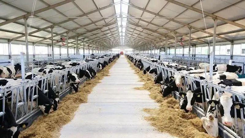 Карагандинская область: итоги года в сфере сельского хозяйства (3)