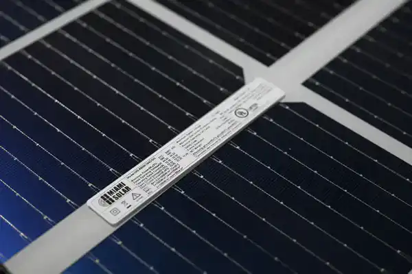 В области Жетісу построят завод по утилизации и переработке отходов (3)