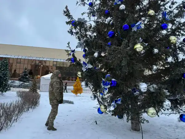 МЧС обеспечило пожарную безопасность при зажжении новогодних елок в столице (4)