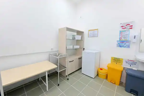 Аким области ознакомился с работой медицинского пункта в селе Малтүгел (10)