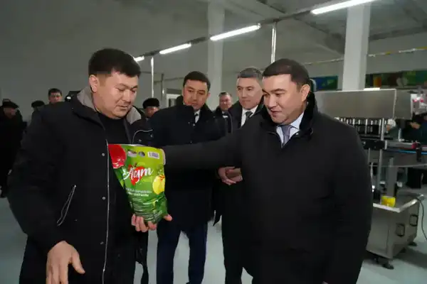 ТУРКЕСТАН: В ТЮЛЬКУБАСЕ ОТКРЫЛСЯ ЗАВОД ПО ГЛУБОКОЙ ПЕРЕРАБОТКЕ ФРУКТОВ И ЯГОД (5)
