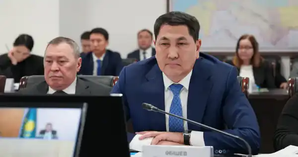 Айдарбек Сапаров поручил активизировать работу по интеграции отраслевых систем в единый цифровой контур (4)