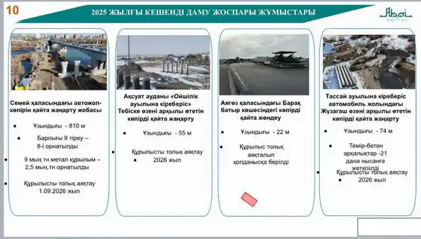В области Абай обсудили развитие дорожной инфраструктуры (9)