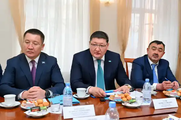 Состоялась встреча с казахской диаспорой в Омске (2)