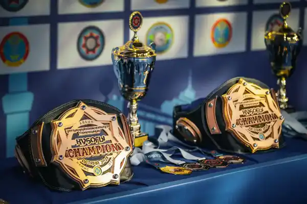 О проведении турнира по рукопашному бою (8)