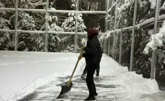 Алматы: Молодежные экоинициативы как модель устойчивого развития для городов мира
