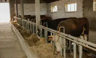 116,8 млрд тенге: урожай, который удивил Атырау