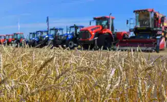 Рост валового выпуска сельхозпродукции в Казахстане на 6,1% свидетельствует о развитии агросектора