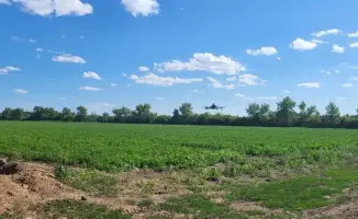 AgroSky: Drones and AI Enhance Crop Yields and Reduce Costs for Farmers in Karaganda