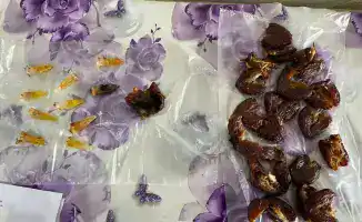 Запрещённые предметы не пройдут: Гвардия на страже!