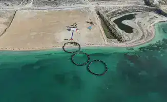 Аквакультура: как 3,5 млрд тенге меняют рынок?