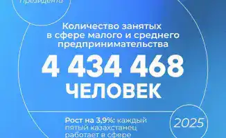 Каждый пятый казахстанец трудится в малом и среднем бизнесе: правительство поддерживает предпринимателей