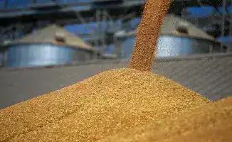 Казахстан наращивает объемы экспорта зерна