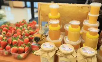 Кооперативы и новые производства: результаты программы «Ауыл аманаты»