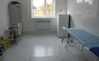 В Карасайском районе открываются три новых медицинских объекта