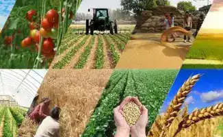 Обсуждение карантинной фитосанитарной экспертизы в Астане: участие через Zoom