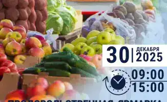 Местные производители предлагают доступные продукты на предновогодней ярмарке в Шымкенте