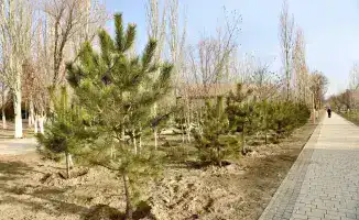 Парки обновляются: новые зоны отдыха на подходе!