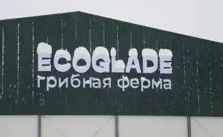 В регионе открыта крупнейшая грибная ферма с мощностью производства до 2400 тонн в год