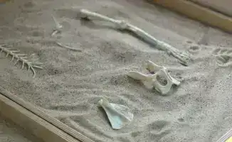 Семинар в Астане: знакомство детей с миром профессий как шаг к формированию профессиональной идентичности