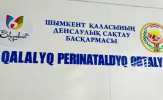 Медики Шымкента спасли новорождённого весом 705 грамм после 75 дней интенсивной терапии