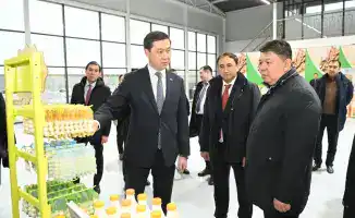 Малая промышленная зона «Тумар»: стартовый импульс для предпринимательского роста Казахстана