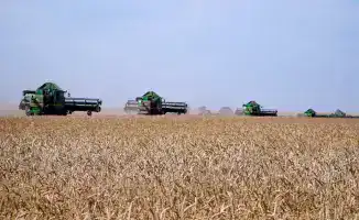 Зерновое побережье: Акмолинск собирает рекорды!