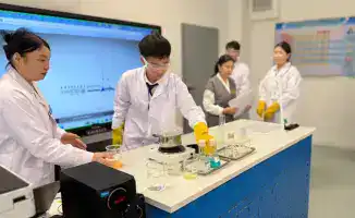 Изучение казахстанского опыта в образовании: возможные изменения в системе Кыргызстана