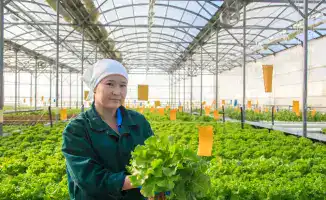 Рост производства в малом и среднем бизнесе Жетісу: положительное влияние на экономику региона