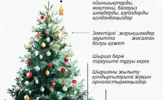 International Fire Safety Guidelines for Holiday Celebrations: Emergency Services Release Checklist for Installing Christmas Trees