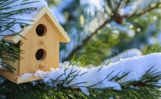 Зимняя симфония: Астана укутана снежным покрывалом, Алматы готовится к морозным аккордам – прогноз погоды на 5, 6 и 7 декабря