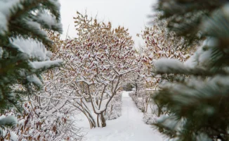 Сильный ветер в Астане и возвращение морозов в Алматы: как это повлияет на жителей городов в ближайшие дни