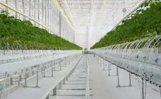 Депутаты Сената проверили выполнение агропромышленных проектов в Туркестанской области