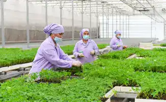 Развитие агросектора в Туркестанской области