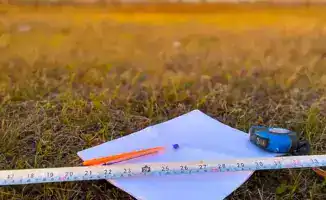 Суд вернул 900 гектаров сельхозугодий в госсобственность в Кызылординской области