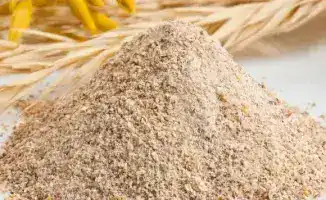 Увеличение экспорта кормовой муки в Китай: новые возможности для казахстанских агропроизводителей