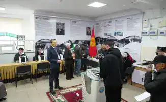 Казахстанская делегация активно участвует в международном наблюдении за парламентскими выборами в Кыргызстане