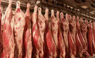 Мясной рекорд: 1 млн тонн за 11 месяцев!