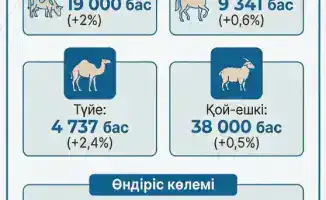 Увеличение посевных площадей в Махамбетском районе: новые достижения в сельском хозяйстве
