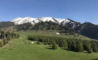 Кок-Жайляу: загадочные QR-коды вызывают вопросы у туристов