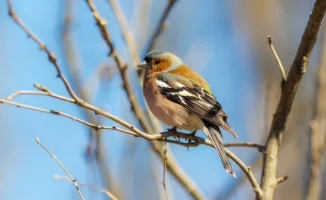 Потепление в Алматы: как изменения погоды повлияют на жизнь города в ближайшие дни