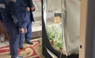 В Алматы раскрыта нарколаборатория: незаконное выращивание наркотиков в многоквартирном доме