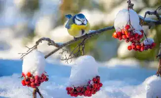 Опасный ветер и резкое похолодание в Казахстане: подробный прогноз на неделю