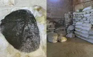 Подпольный цех с тоннами насвая нашли на юге Казахстана