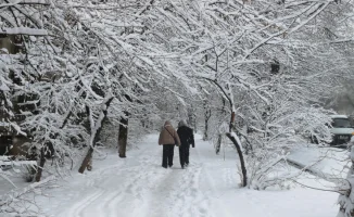 Алматы накрыла снежная буря: высота снежного покрова достигла 35 см, последствия для города ощутимы