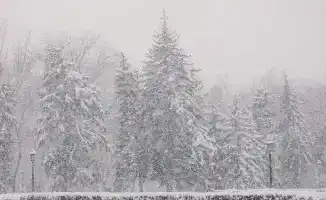 Сильные морозы надвигаются на Казахстан