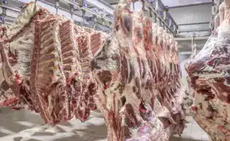 Казахстан вводит ограничения на экспорт говядины: министр объяснил меры для стабилизации рынка